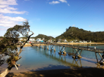 Foot bridge betweem Pataua North & Pataua South