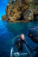 Spend the day diving at the Poor Knights Islands (northlandnz.com)
