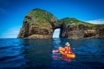 Kayaking at the Poor Knights Islands (northlandnz.com)