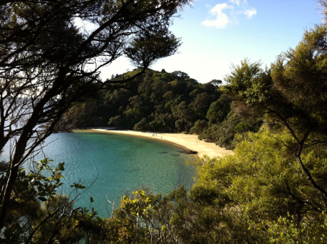 Whale Bay - Tutukaka Coast