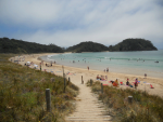 Matapouri Bay Tutukaka Coast