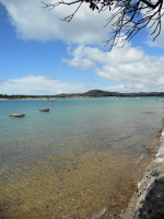 Ngunguru Estuary at High Tide