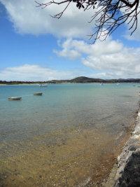 Ngunguru Estuary at High Tide
