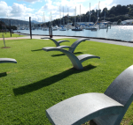 Concrete Seagull Sculptures on the Town Basin Art Trail in Whangarei