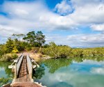 waimahunga track