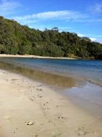 Whale Bay - Tutukaka Coast