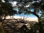 Whale Bay - Tutukaka Coast Beach