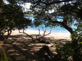 Whale Bay - Tutukaka Coast Beach