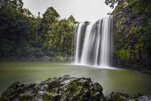Whangarei Falls Waterfall
