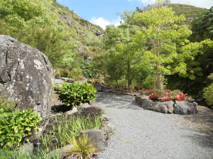 Whangarei Quarry Gardens