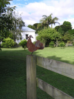 Metal chicken enroute to our free-rangingbantams
