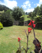 Garden adjacent to the pool