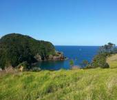 View from the Tutukaka Lighthouse Walkway