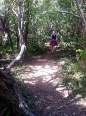 Tutukaka Lighthouse Walkway