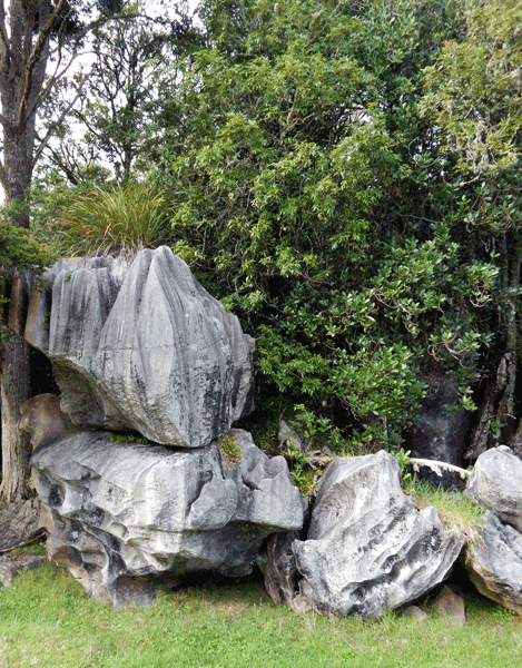 Waro-limestone-reserve-1