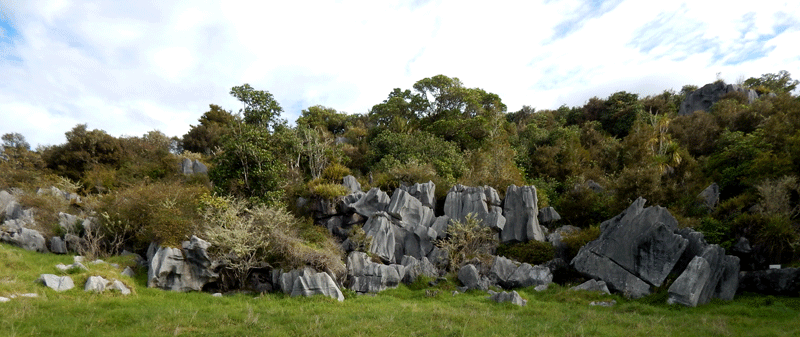 Waro-limestone-reserve-2