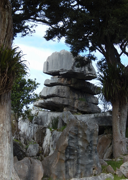limestone-whangarei