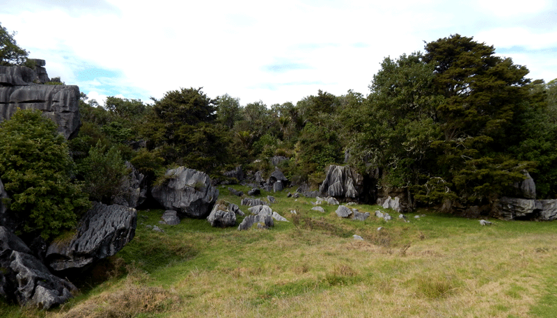 whangarei-limestone-reserve