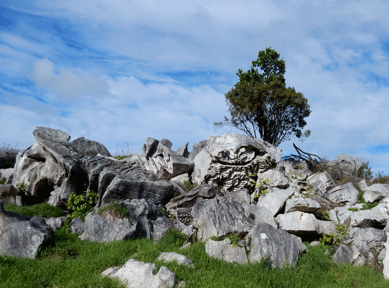 whangarei-rock-walkway