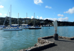 Whale Tail on the waterfront - part of the Whangarei Art Trail