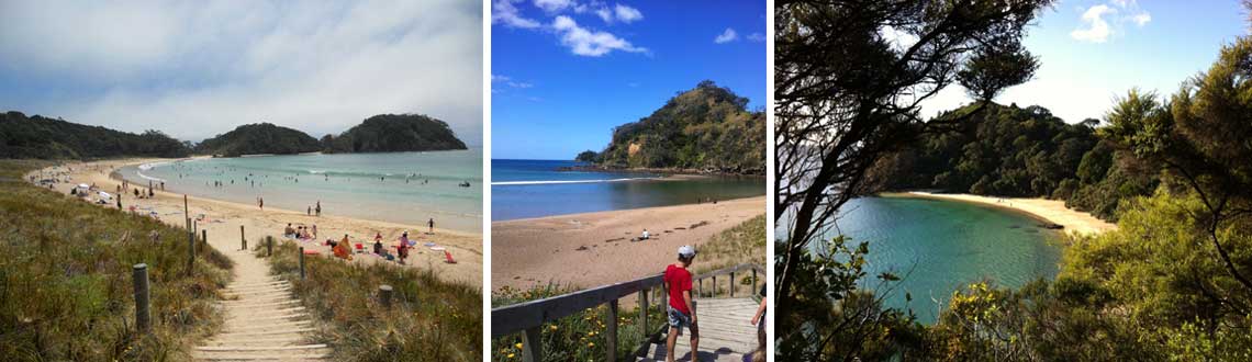 Whangarei & Tutukaka Coast Beaches