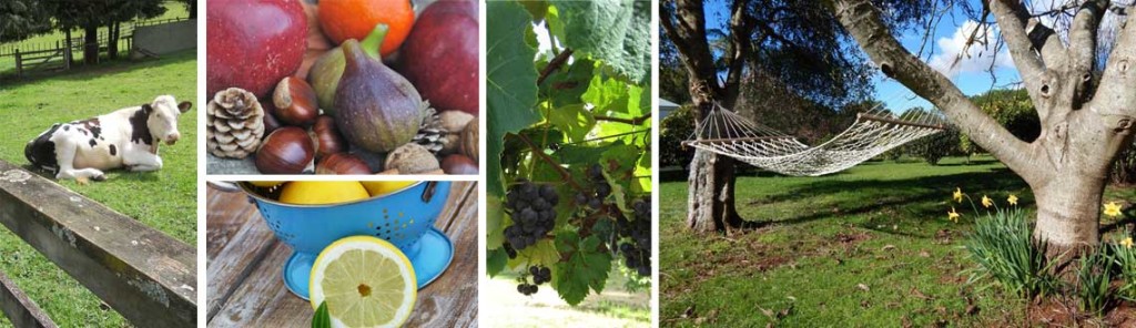 Accommodation in the Whangarei Countryside